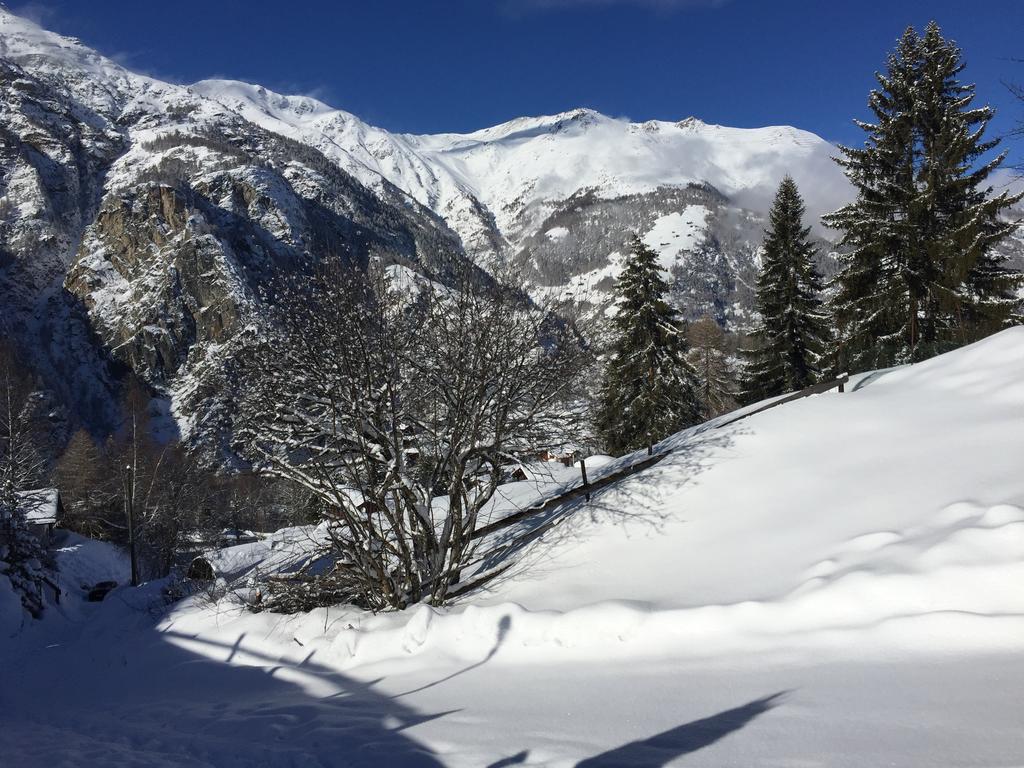 Chalet Du Chef Grachen Exterior photo